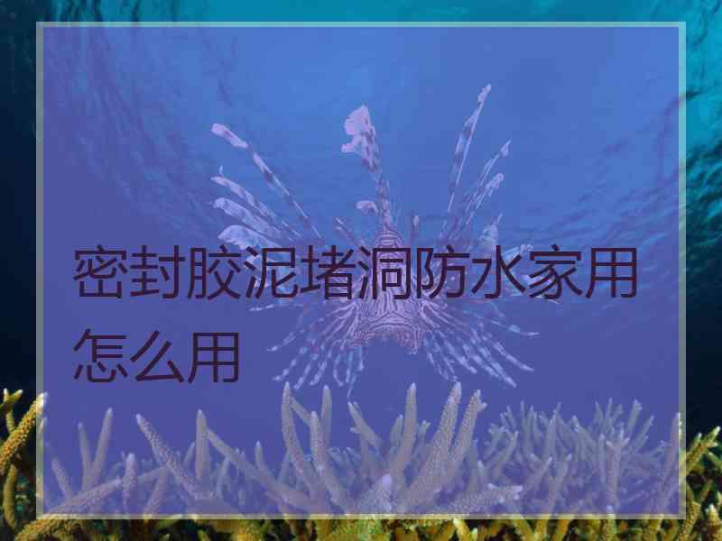 密封胶泥堵洞防水家用怎么用