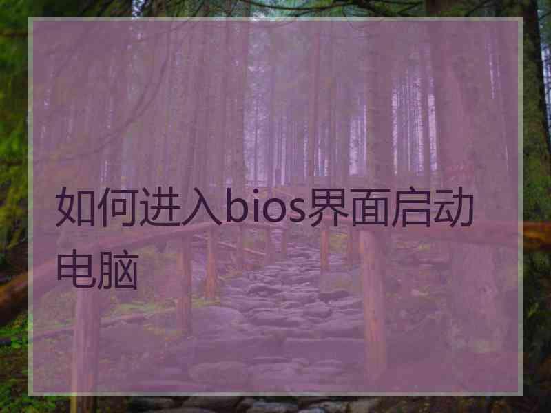 如何进入bios界面启动电脑