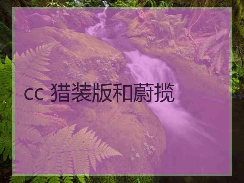 cc 猎装版和蔚揽