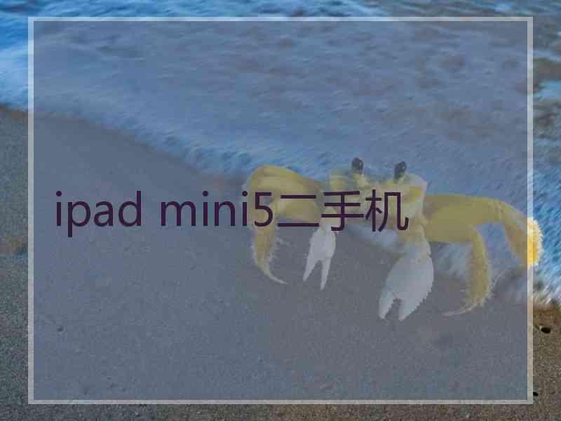 ipad mini5二手机