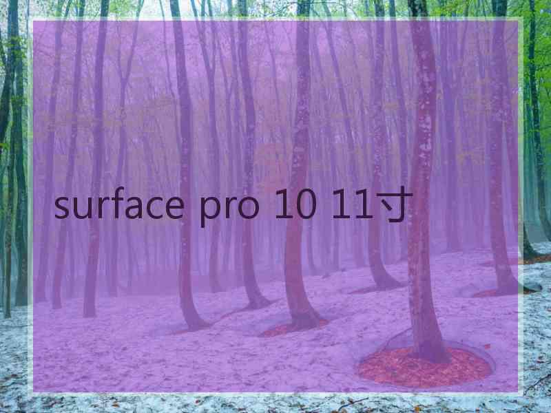surface pro 10 11寸