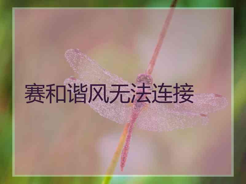 赛和谐风无法连接