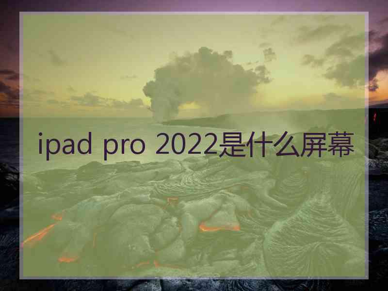 ipad pro 2022是什么屏幕