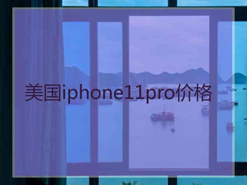 美国iphone11pro价格