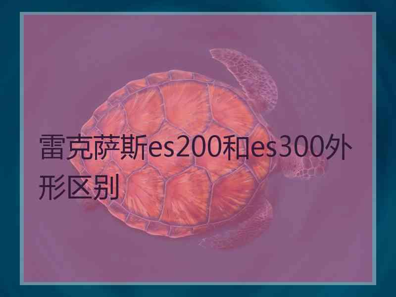 雷克萨斯es200和es300外形区别