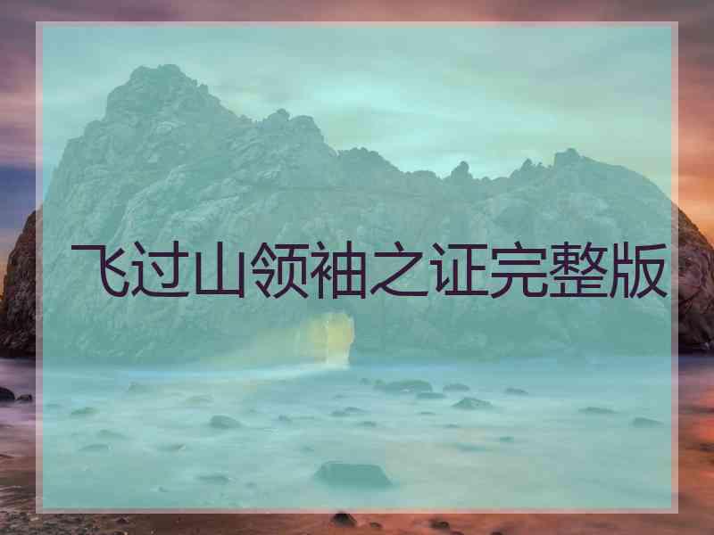 飞过山领袖之证完整版