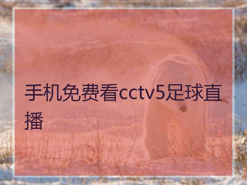 手机免费看cctv5足球直播