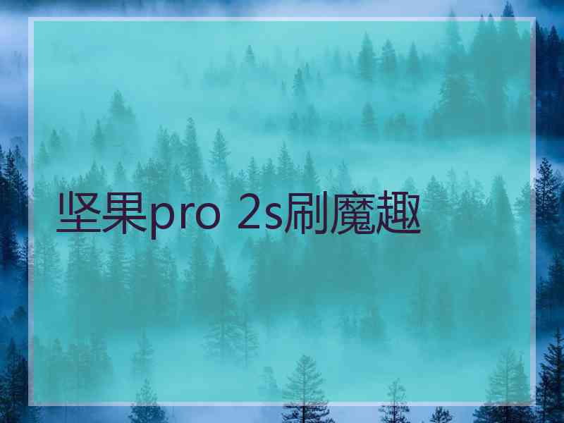 坚果pro 2s刷魔趣