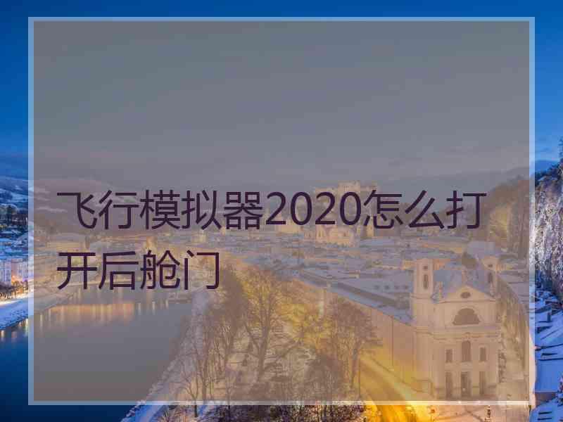 飞行模拟器2020怎么打开后舱门