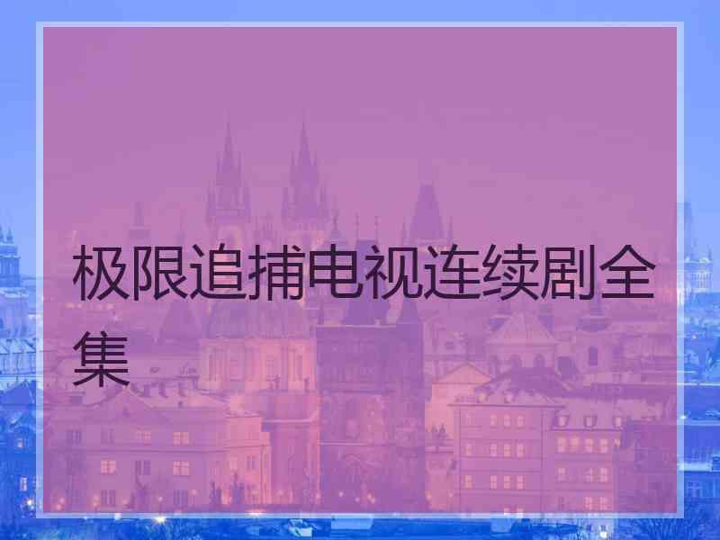 极限追捕电视连续剧全集