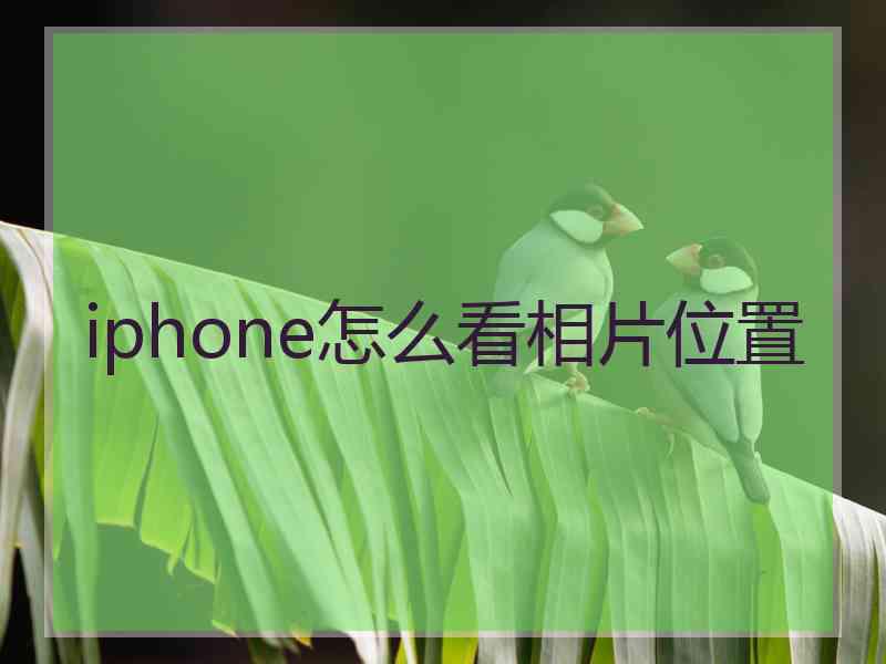 iphone怎么看相片位置