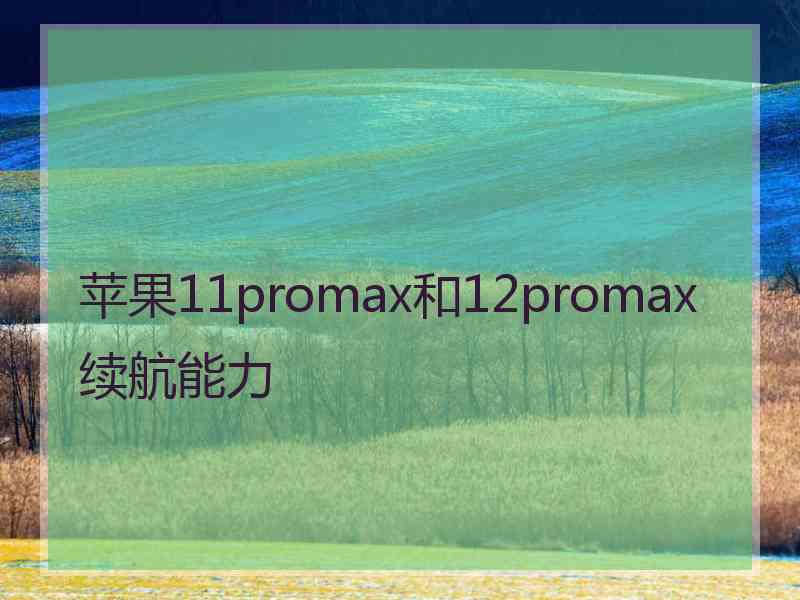 苹果11promax和12promax续航能力