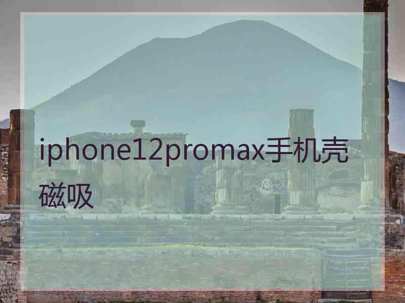 iphone12promax手机壳磁吸