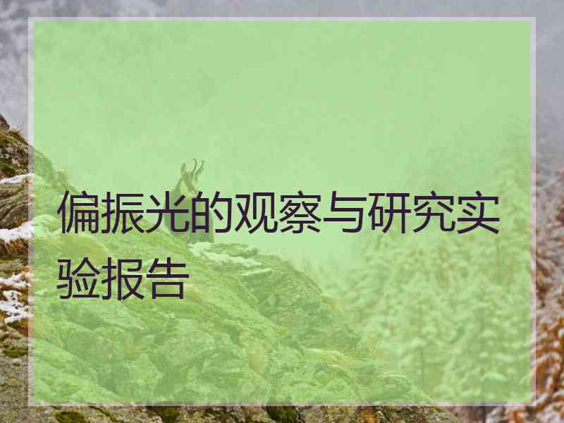 偏振光的观察与研究实验报告