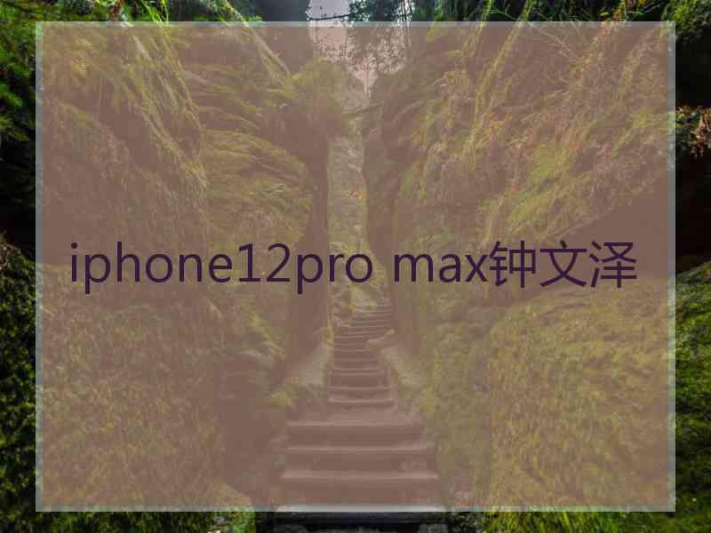 iphone12pro max钟文泽