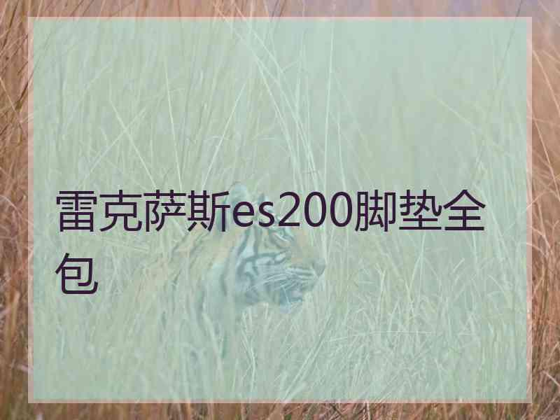 雷克萨斯es200脚垫全包