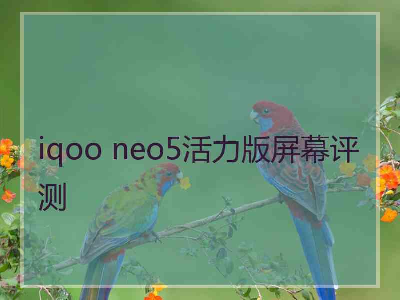 iqoo neo5活力版屏幕评测