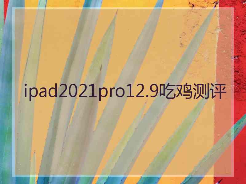 ipad2021pro12.9吃鸡测评