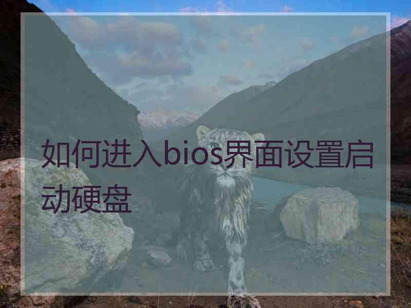 如何进入bios界面设置启动硬盘