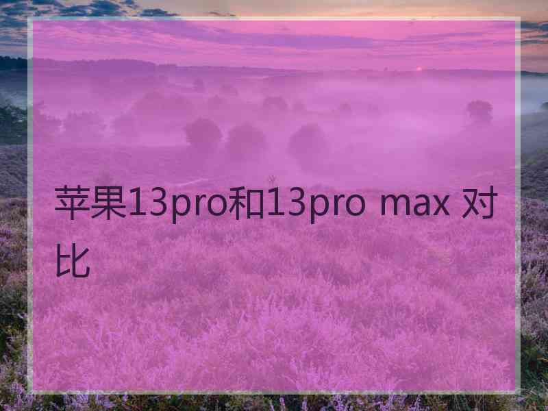 苹果13pro和13pro max 对比