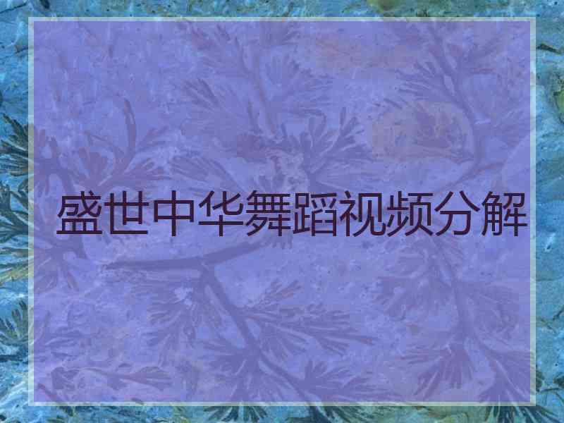 盛世中华舞蹈视频分解