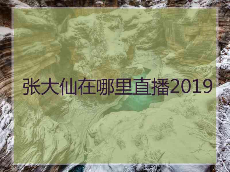 张大仙在哪里直播2019