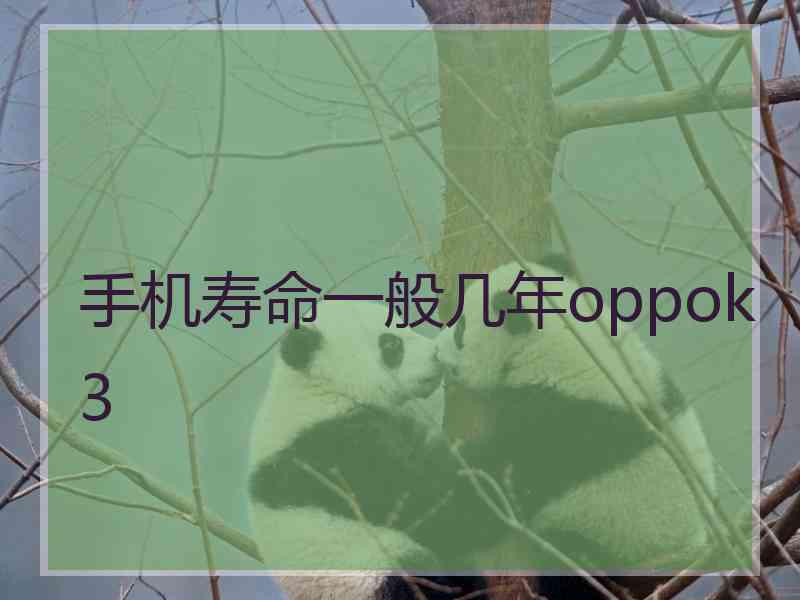 手机寿命一般几年oppok3