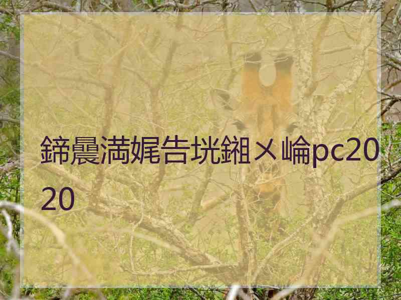 鍗曟満娓告垙鎺ㄨ崘pc2020