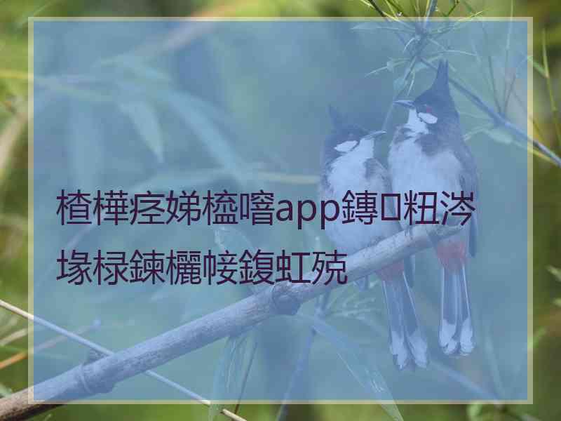 楂樺痉娣橀噾app鏄粈涔堟椂鍊欐帹鍑虹殑