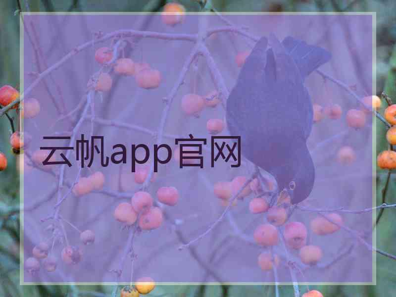 云帆app官网