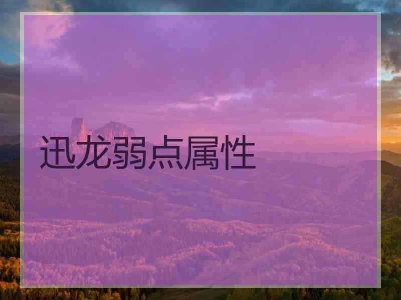 迅龙弱点属性