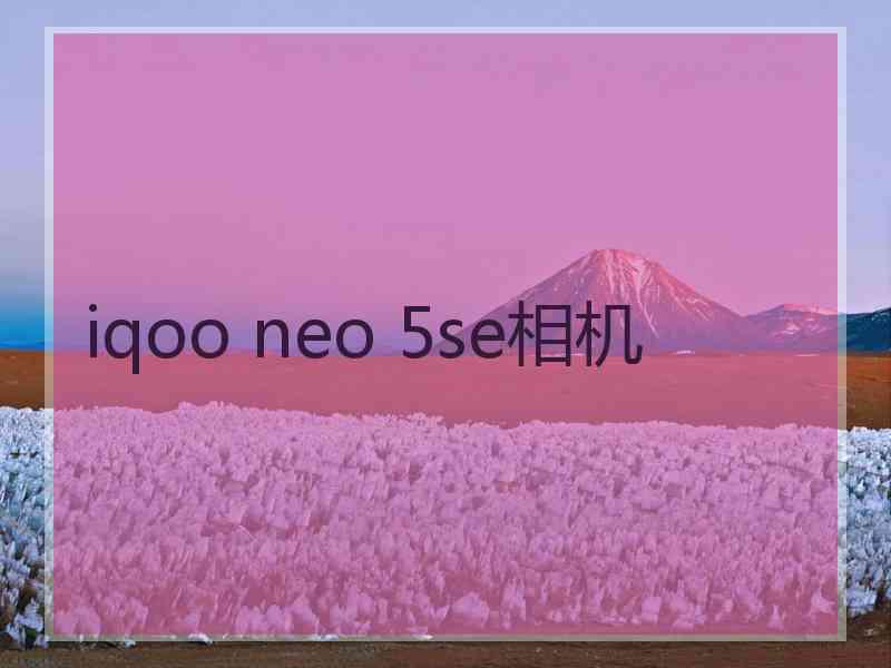 iqoo neo 5se相机