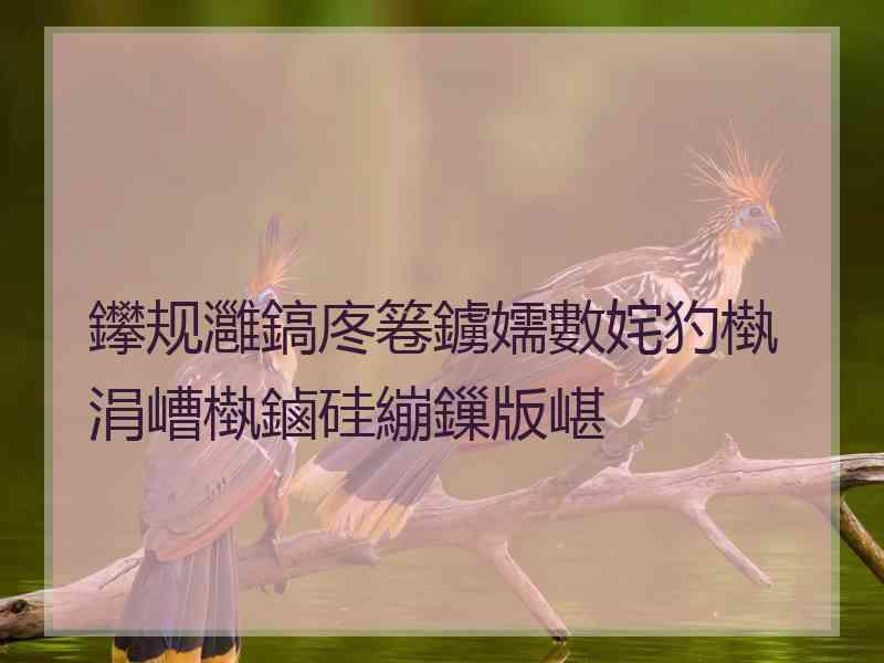 鑻规灉鎬庝箞鐪嬬數姹犳槸涓嶆槸鏀硅繃鏁版嵁