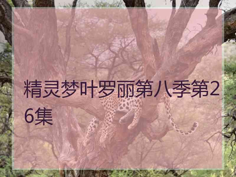 精灵梦叶罗丽第八季第26集