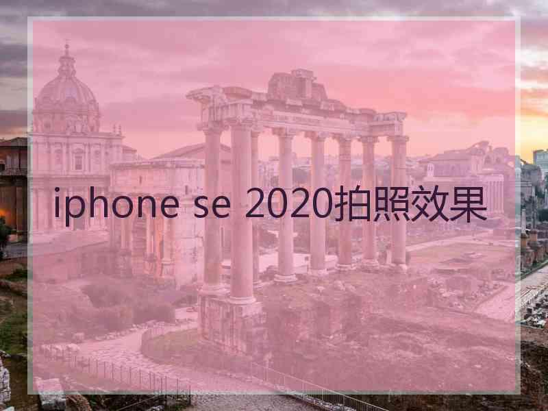 iphone se 2020拍照效果