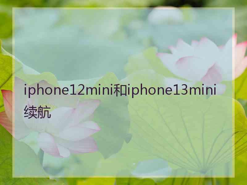 iphone12mini和iphone13mini续航