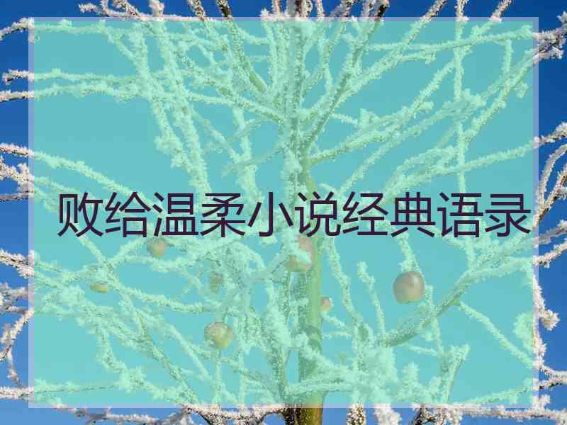 败给温柔小说经典语录