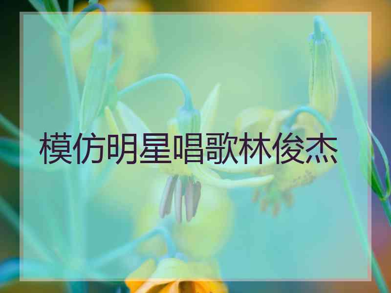 模仿明星唱歌林俊杰