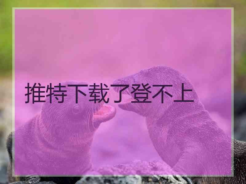 推特下载了登不上