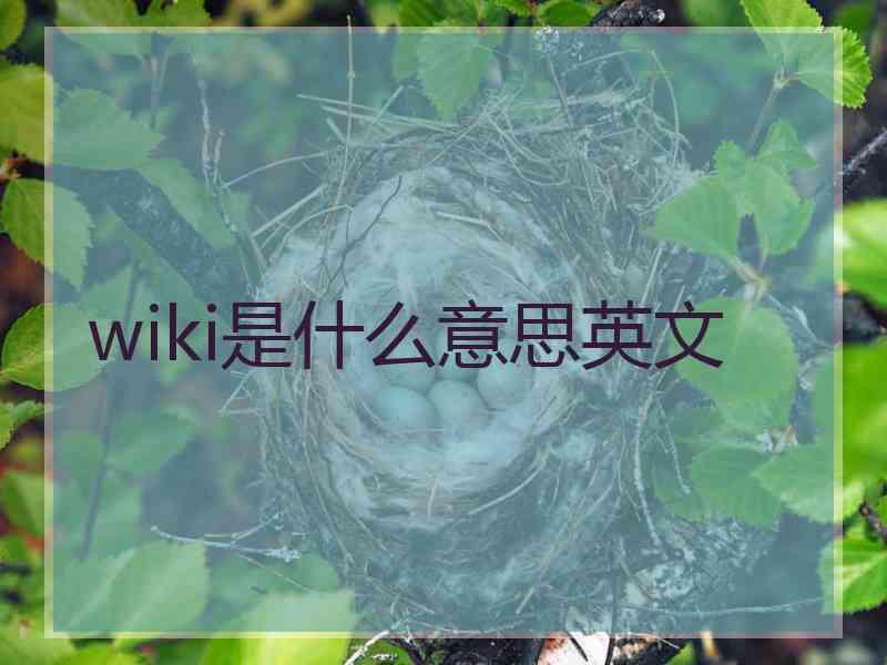 wiki是什么意思英文