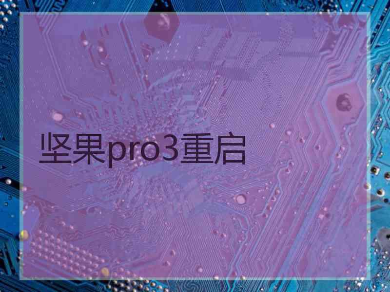 坚果pro3重启