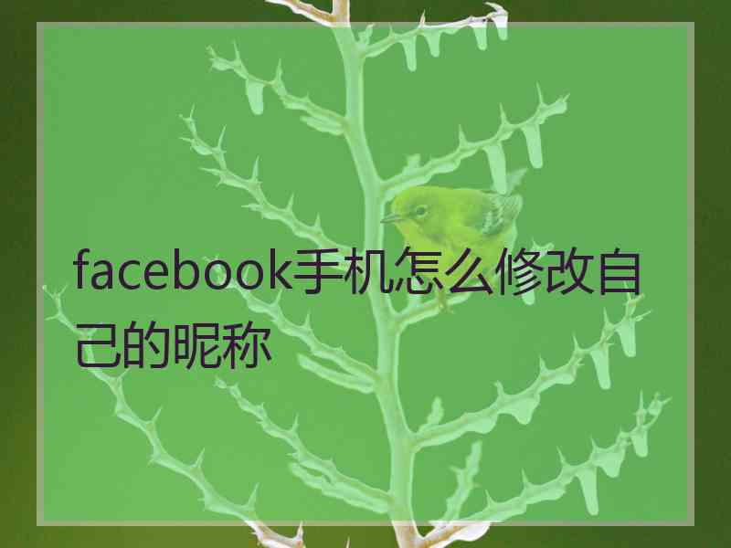 facebook手机怎么修改自己的昵称