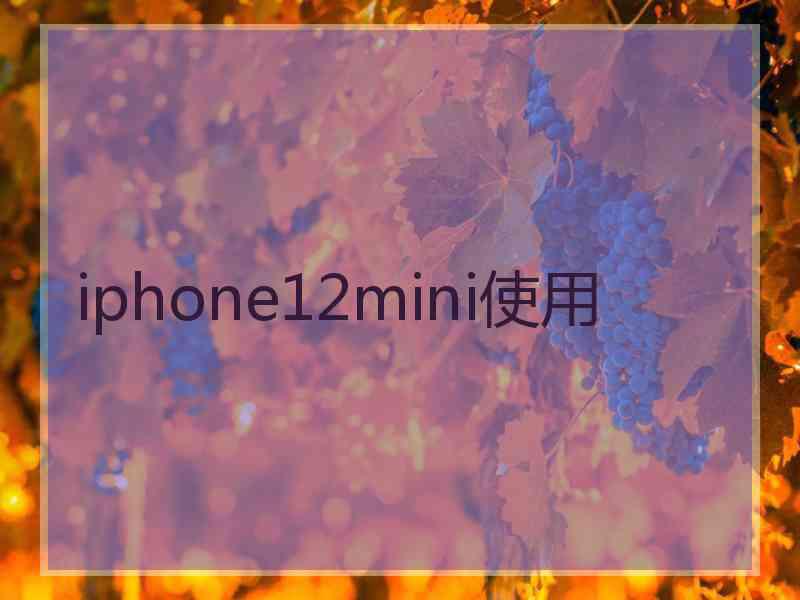 iphone12mini使用