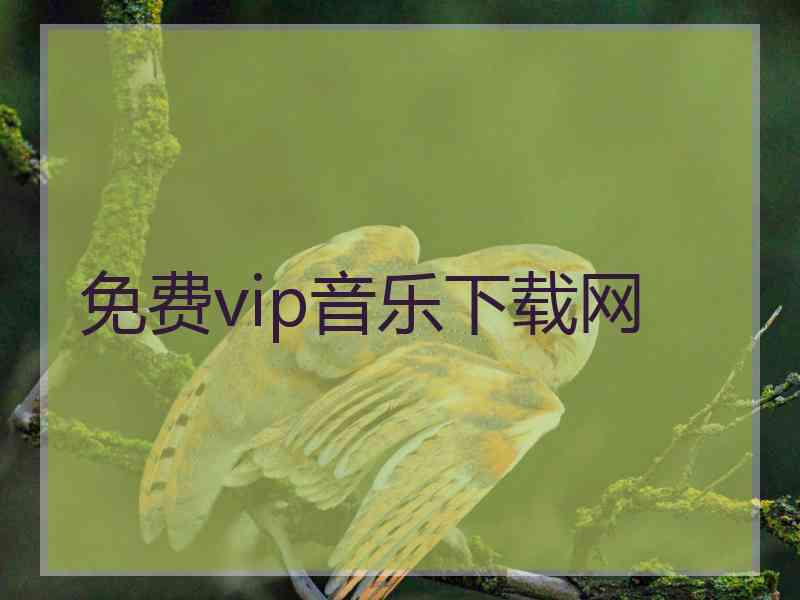 免费vip音乐下载网