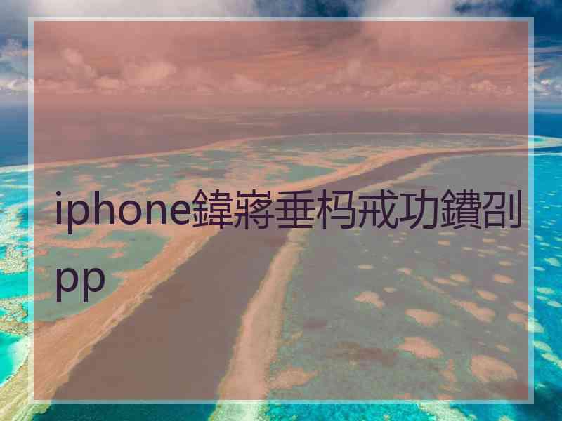 iphone鍏嶈垂杩戒功鐨刟pp