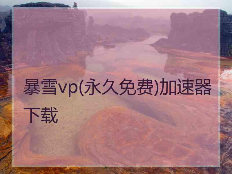 暴雪vp(永久免费)加速器下载