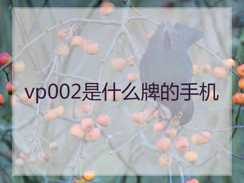 vp002是什么牌的手机