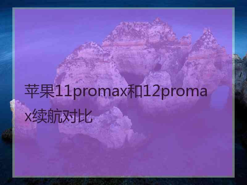 苹果11promax和12promax续航对比