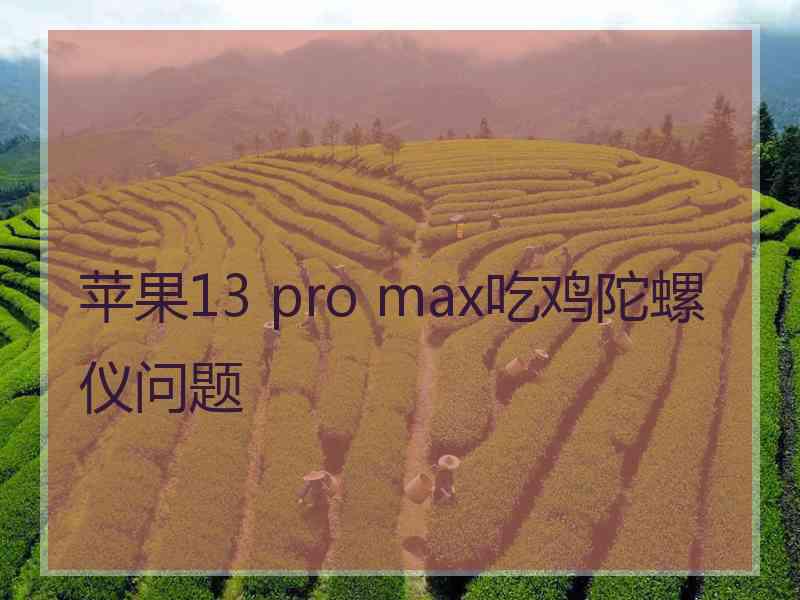 苹果13 pro max吃鸡陀螺仪问题