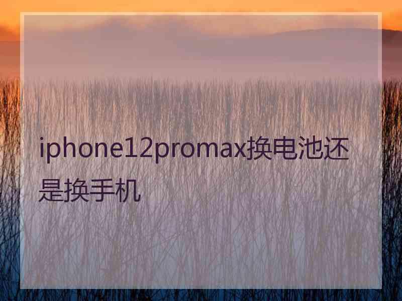 iphone12promax换电池还是换手机